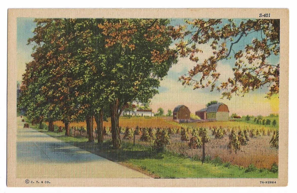 Autumn Postcard Scenic Hay Barn Farm