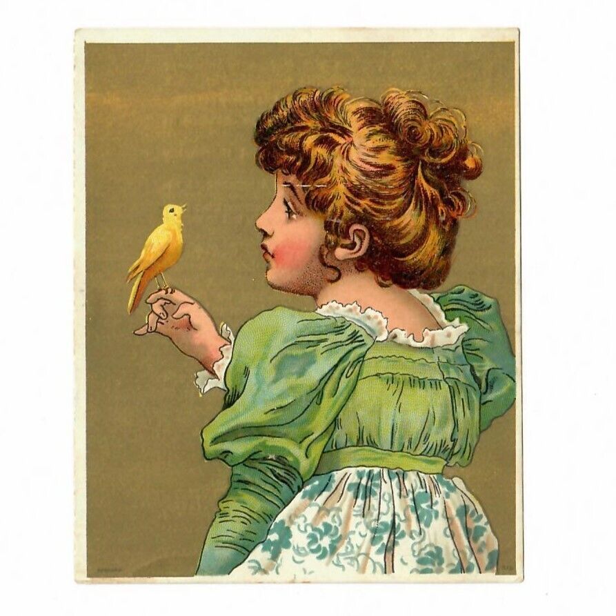 Victorian Trade Card Girl Canary Bird Standard Coffee Schnull-Krag Gibson 1890\'s