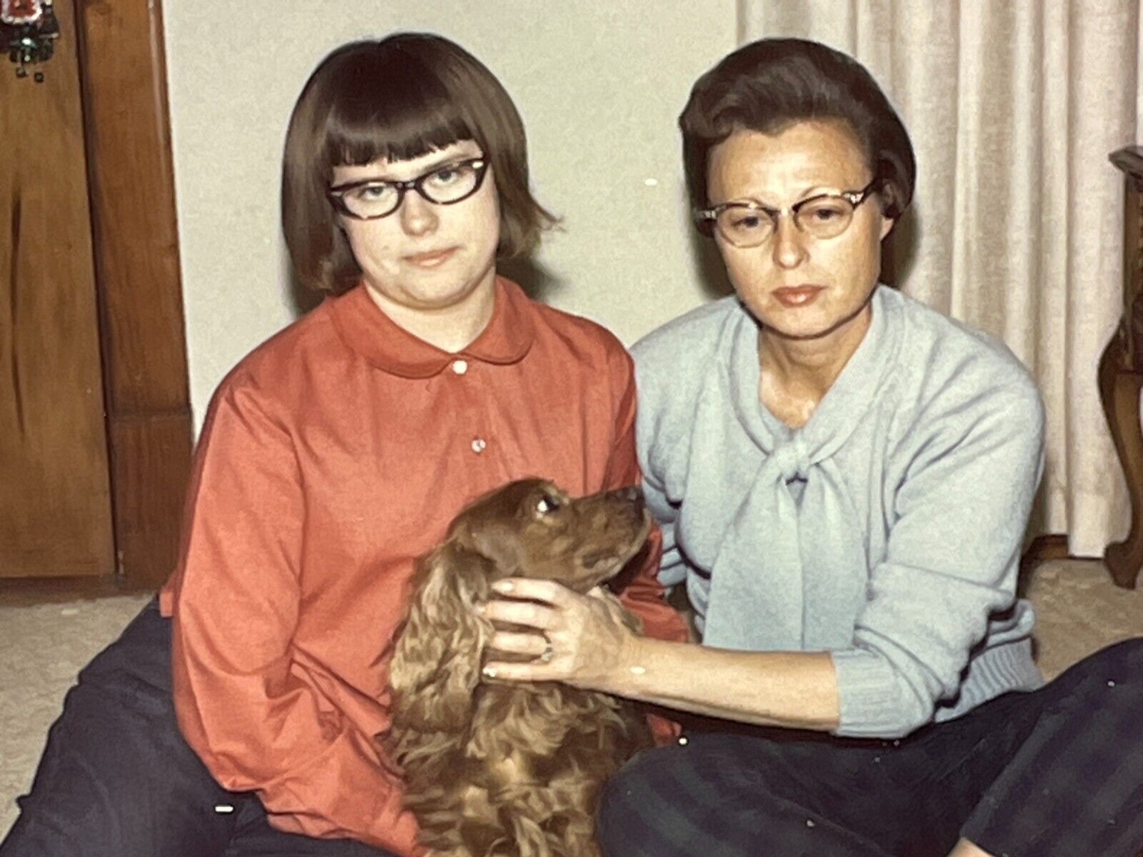 LD Photo Polaroid 1960-70s Girl Mom Family Dog