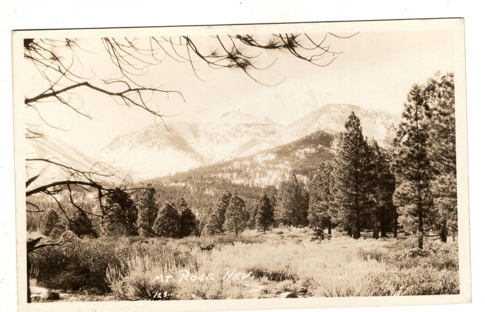 Nevada RPPC Mt Rose  Vintage Postcard