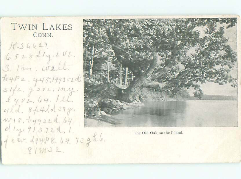 Pre-1907 LAKE SCENE Twin Lakes - Near Salisbury & Torrington CT 7/18 AE5408