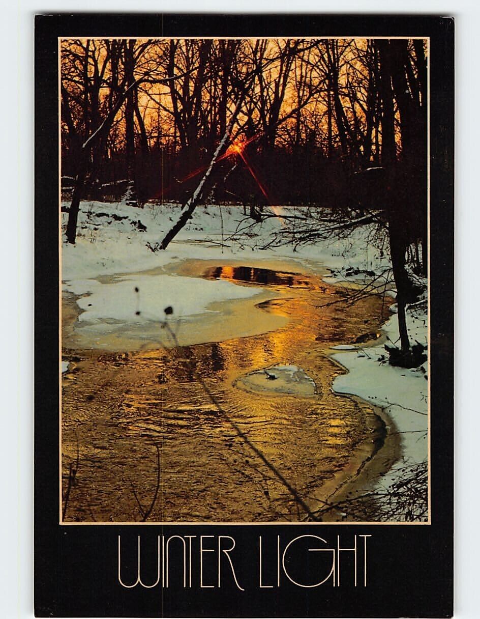 Postcard Winter Twilight