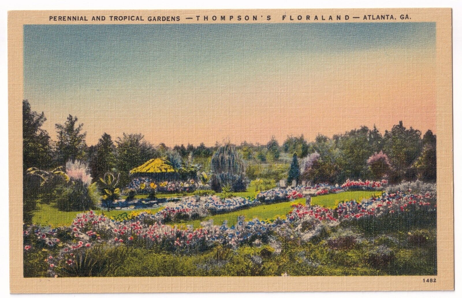Post Card Perennial and Tropical Gardens Thompson\'s Floraland Atlanta Georgia