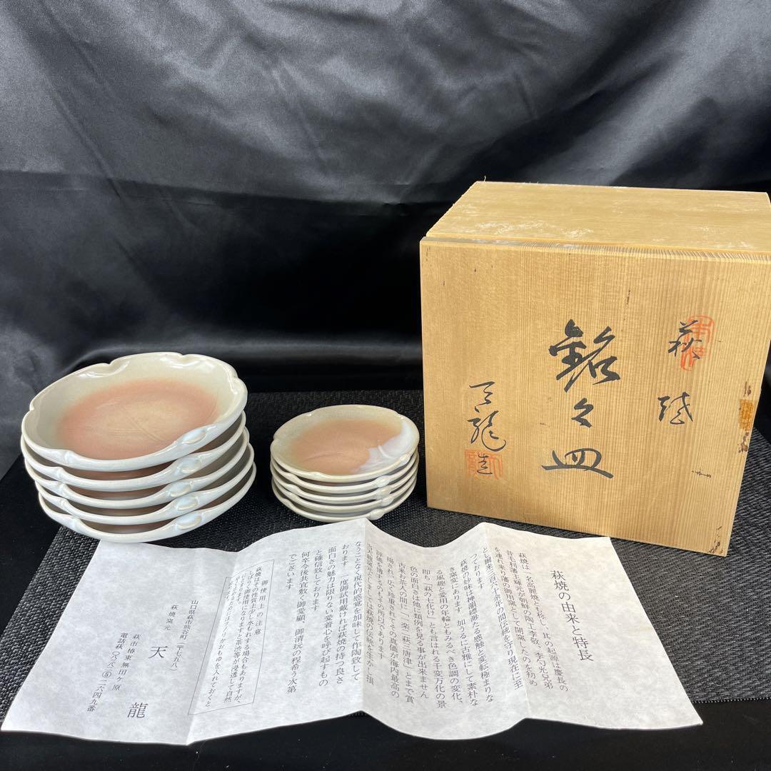 Hagi Ware Plate Pottery Tenryu 10-Piece Set Of 5 Medium Plates And Small 53