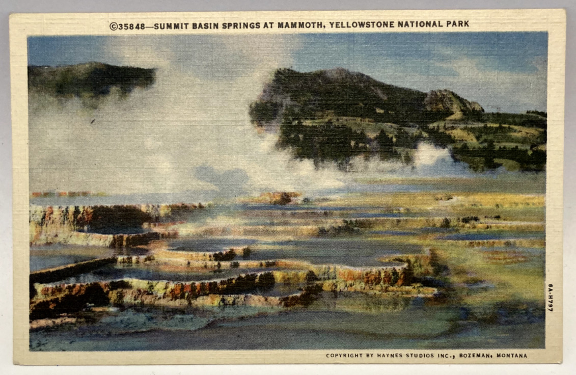 Summit Basin Springs at  Mammoth, Yellowstone National Park, Haynes Postcard