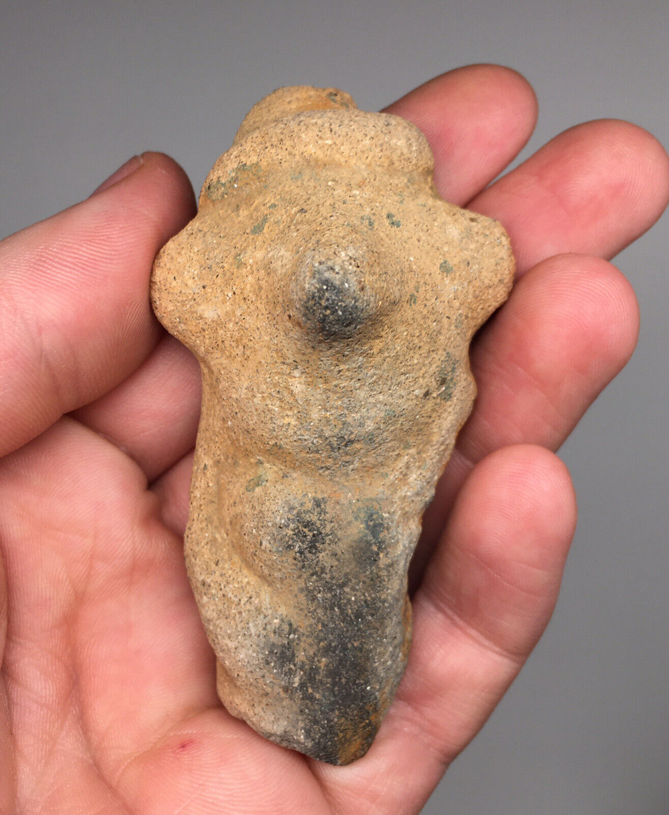 Pre-Columbian Colima Jalisco \'Sheep-Face\' Terracotta Pottery Head Fragment 