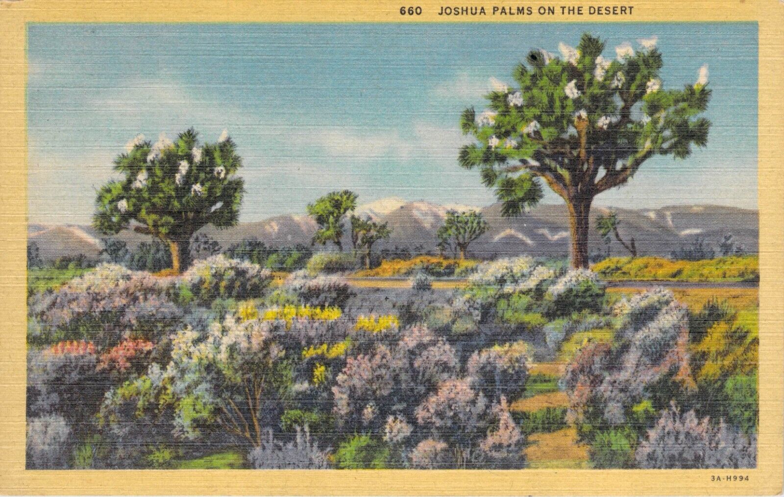 Vintage Postcard Joshua Palms on the Desert Unposted Curt Teich c1940 Linen