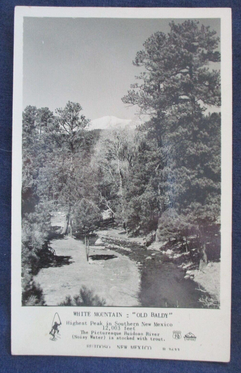 RP Ruidoso New Mexico White Mountain 1940s Frasher\'s Postcard
