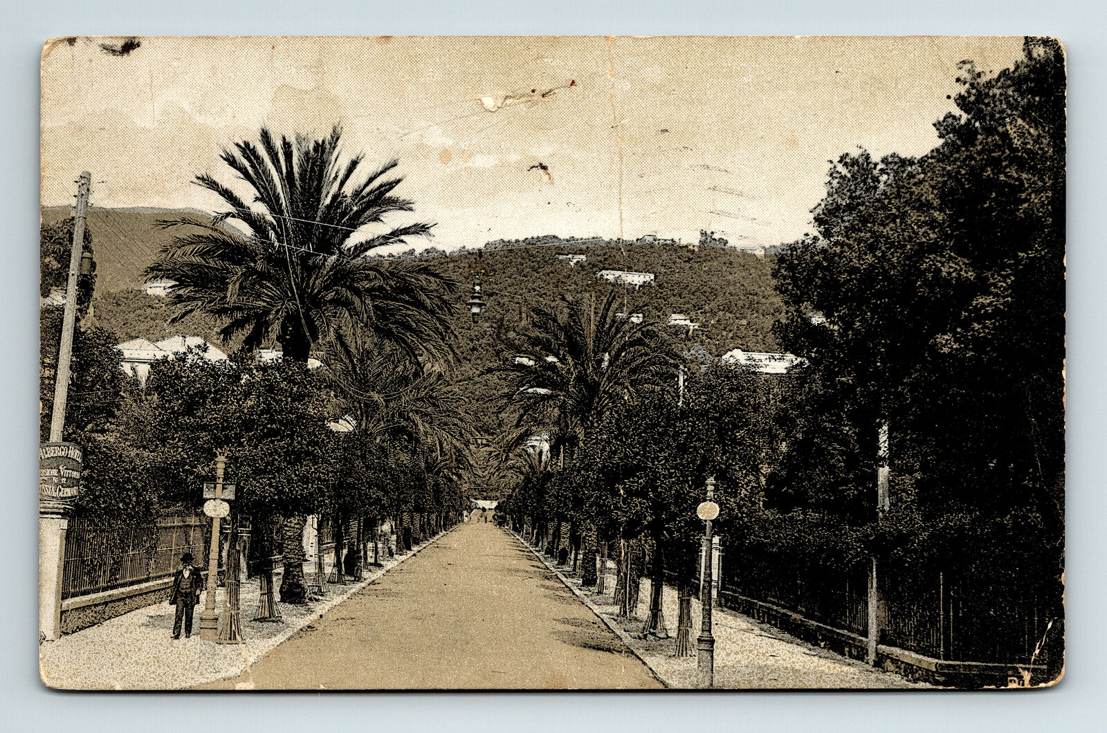 c1924 Postcard Nervi Viale Vittorio Italy Emanuele Street Palms