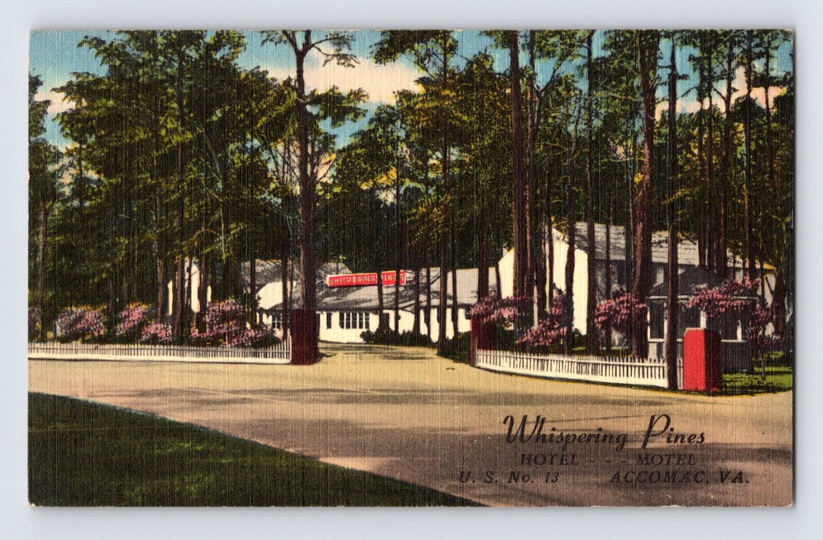 Postcard Virginia Accomac VA Whispering Pines Motel 1954 Posted Linen