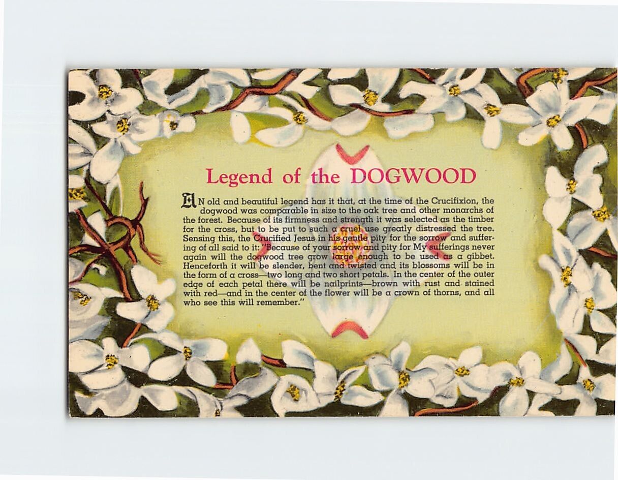 Postcard Legend of the Dogwood