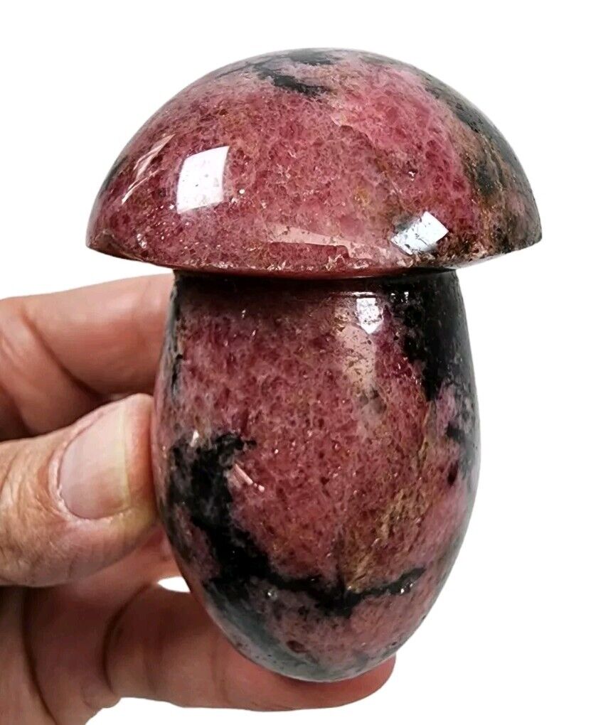 Rhodonite Crystal Polished Mushroom Stone 204 grams.