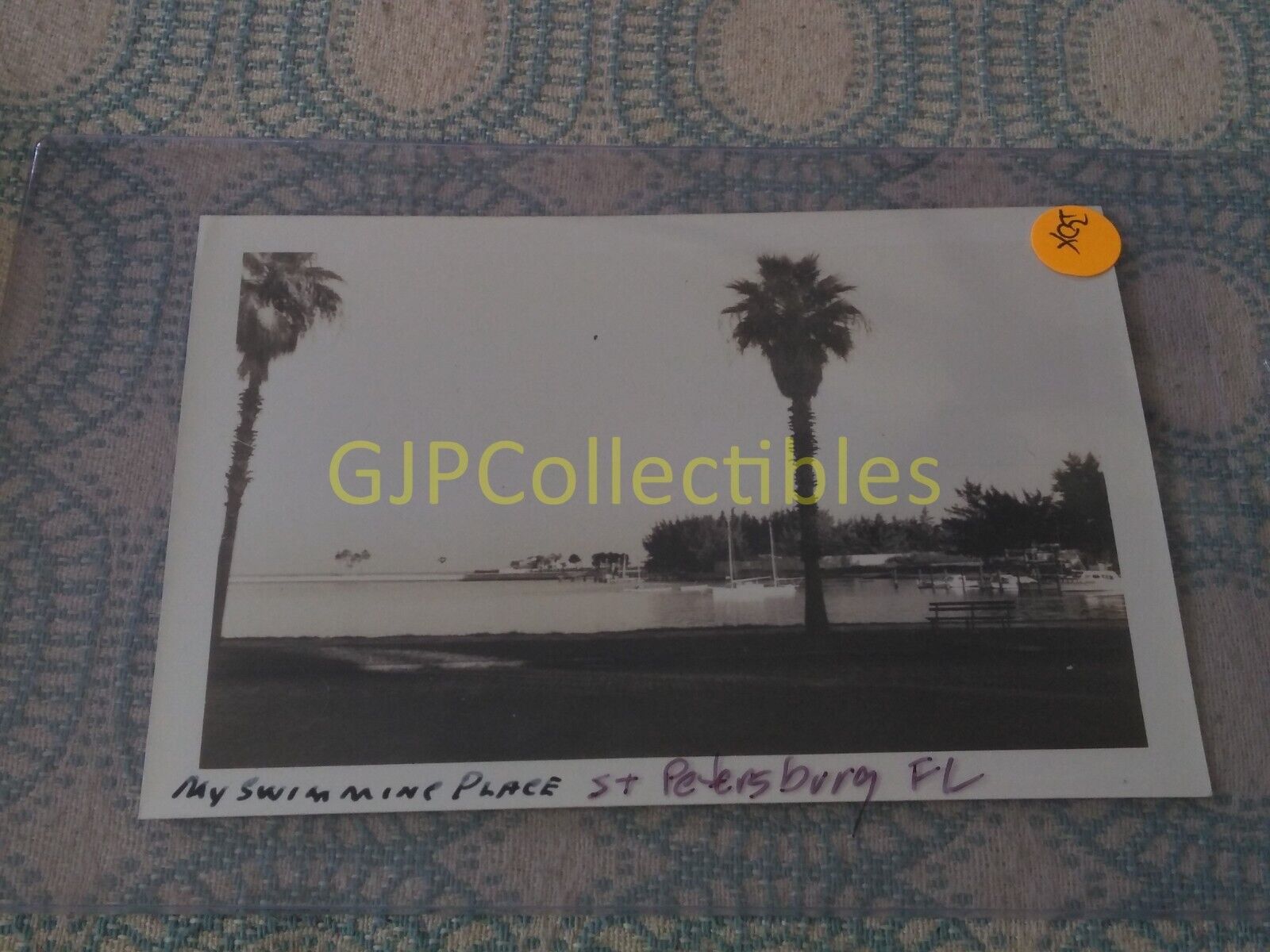BOX VINTAGE PHOTOGRAPH Spencer Lionel Adams MY SWIMMING PLACE ST PETERSBURG FL