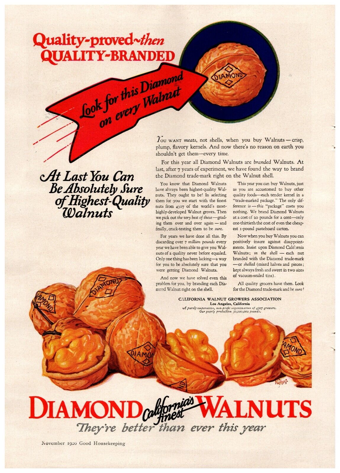 1926 Diamond Walnuts Vintage Print Ad They\'re Better Than Ever This Year 