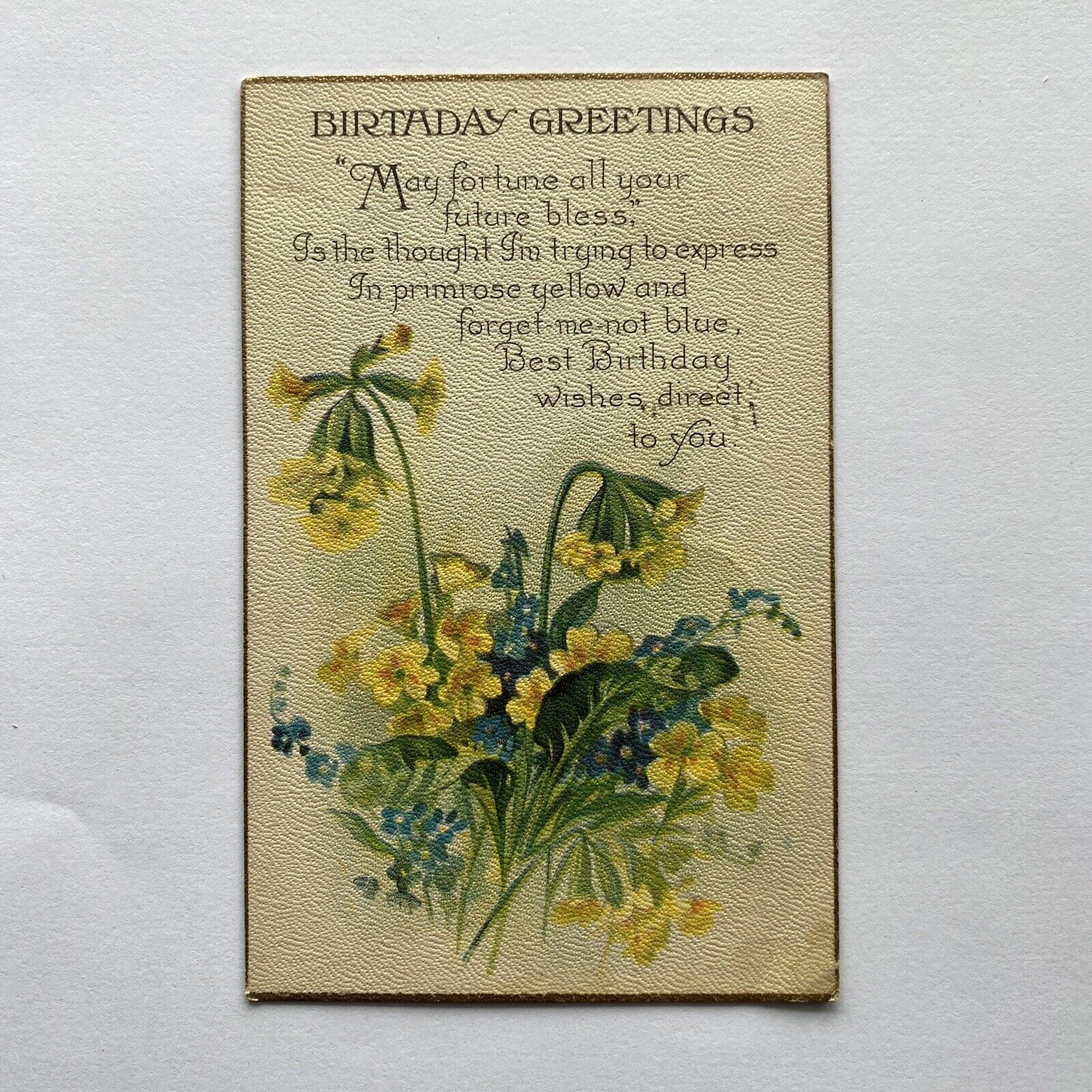 Birthday Greetings Postcard Posted 1923 Floral Embossed