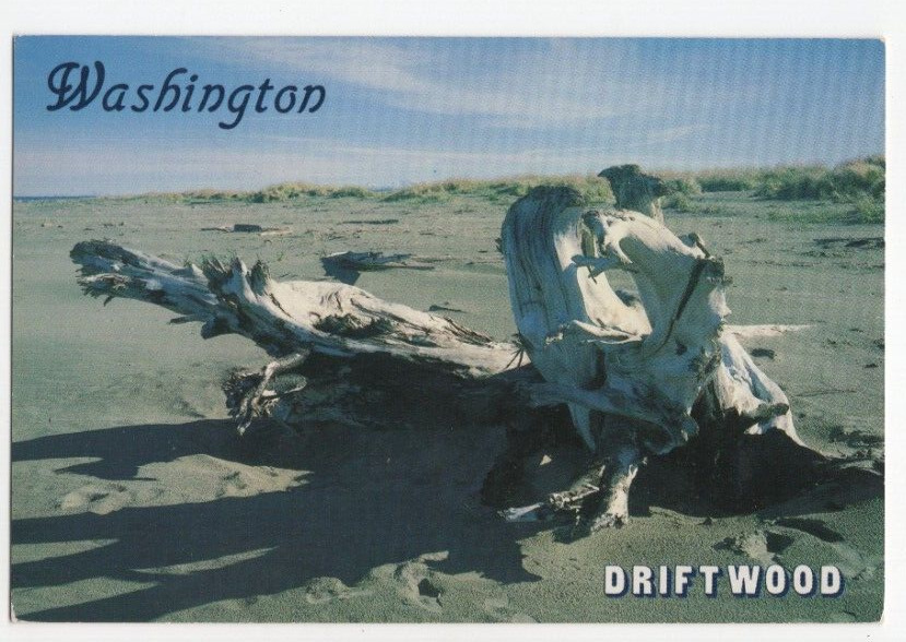 Postcard WA: Driftwood, Pacific Ocean Beaches, Washington State, Unposted