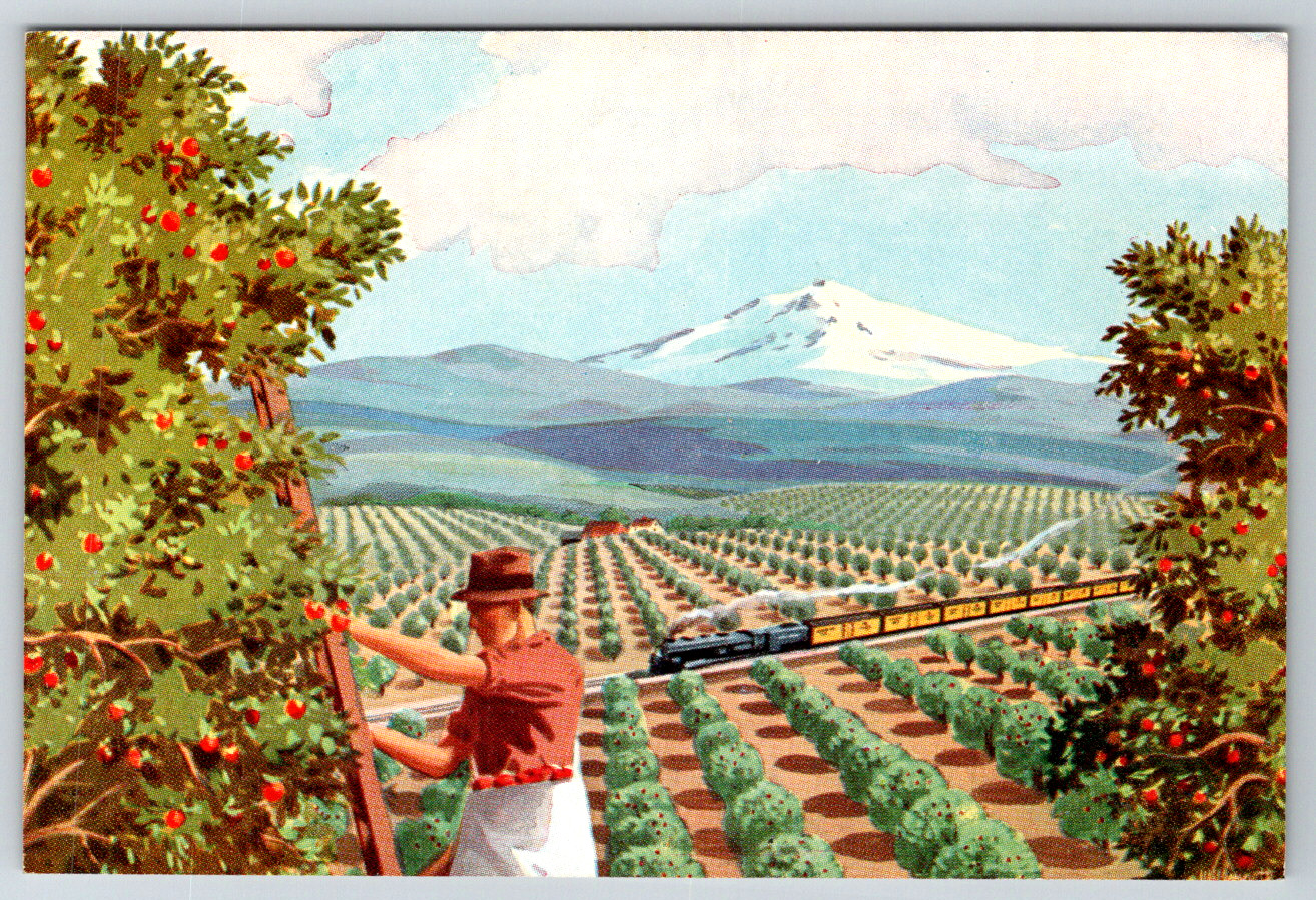 c1960s Postcard Union Pacific Railroad Washington Orchards Farms Scenic Chrome