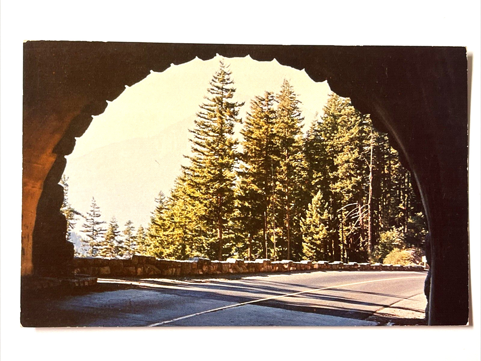 Salt Creek Falls Oregon Highway 58 Tunnel Scenic Landmark Chrome Postcard