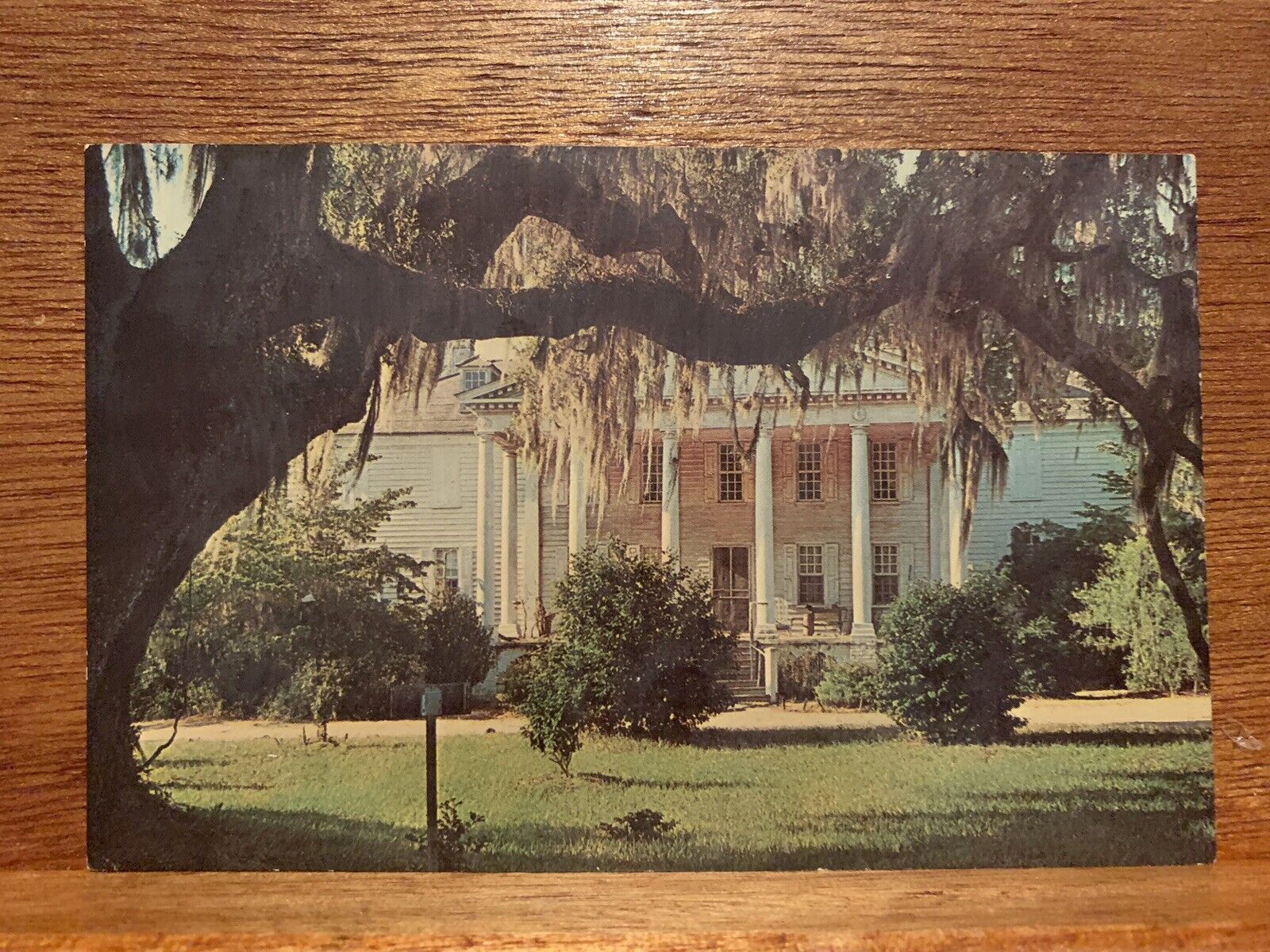 Hampton Plantation South Carolina Vintage Postcard Unposted
