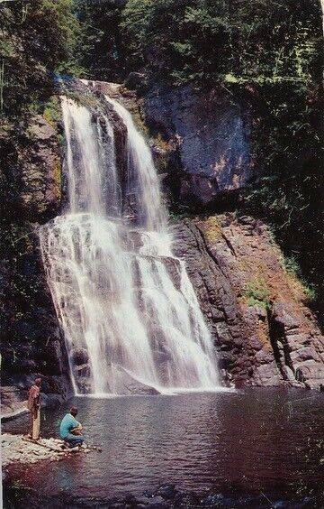 Bushkill Falls in Pocono Mountains, Pennsylvania PA 1959 posted vintage postcard