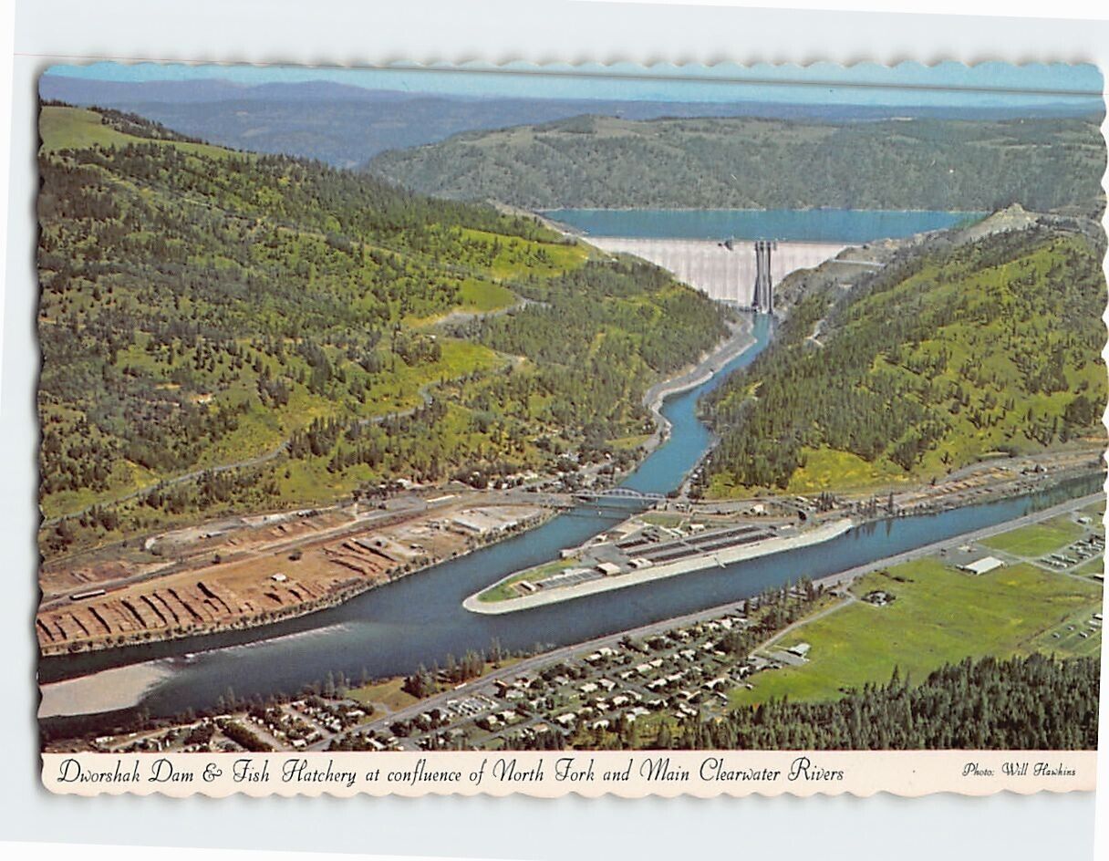 Postcard Dworshak Dam & Fish Hatchery North For & Main Clearwater River Idaho
