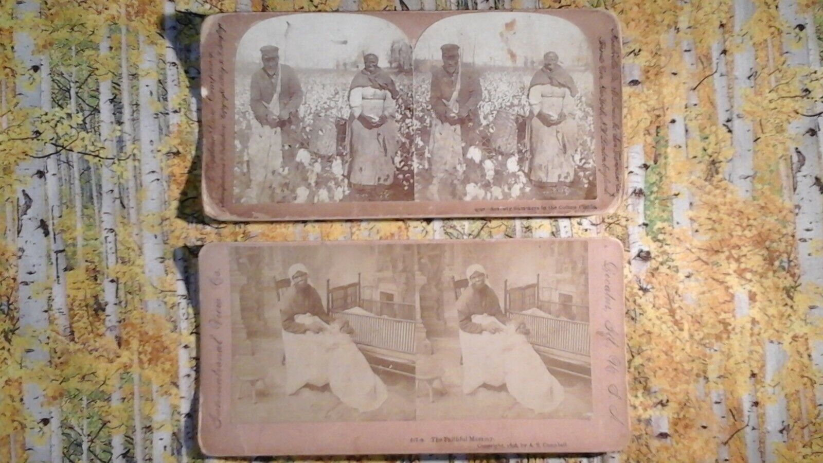 ****** 0ld Love, Is the Greatest Love *****  Ancestry Love - 2 Stereoview Lot  