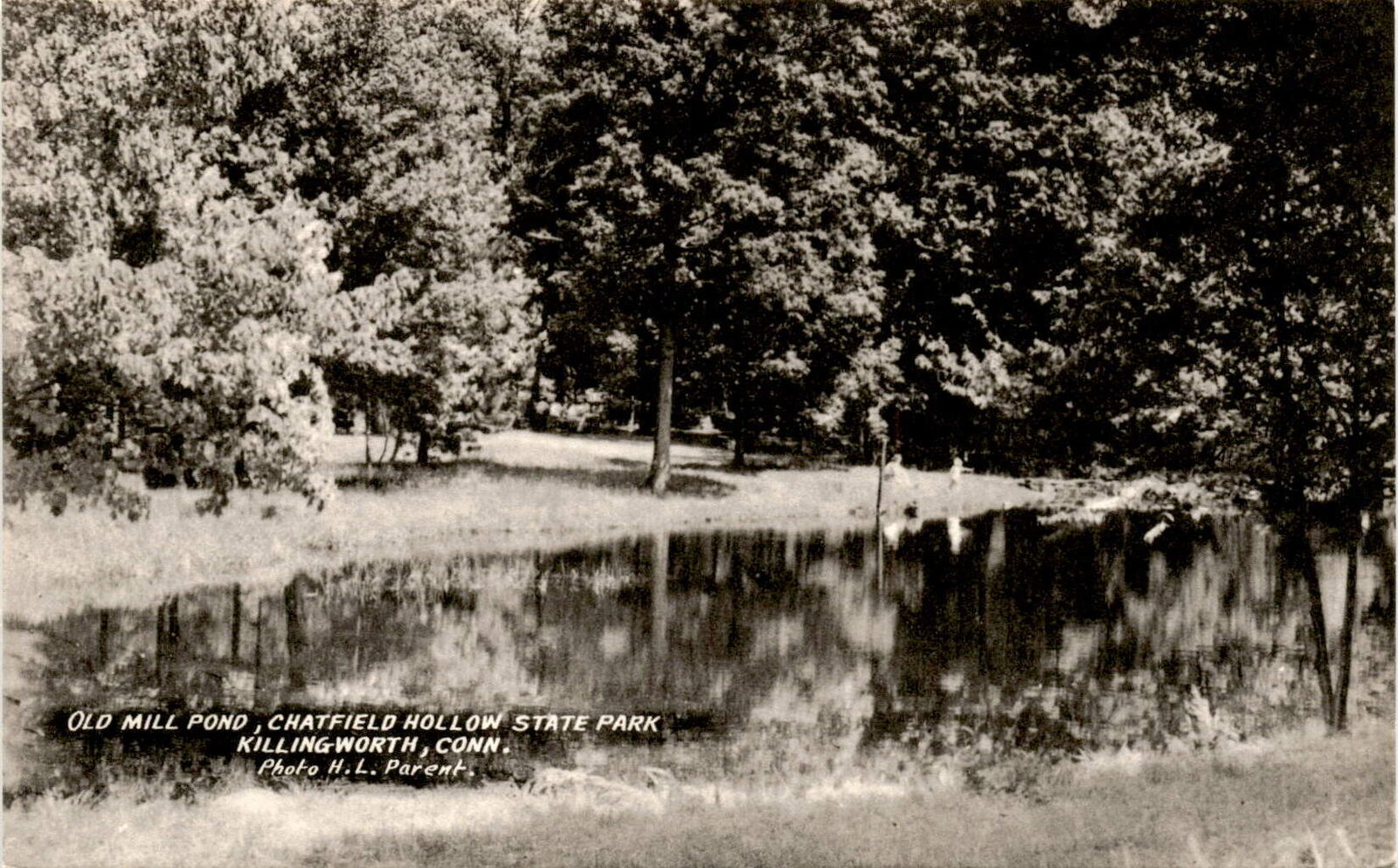 Old Mill Pond, Chatfield Hollow State Park, Killingworth, Connecticut, Postcard