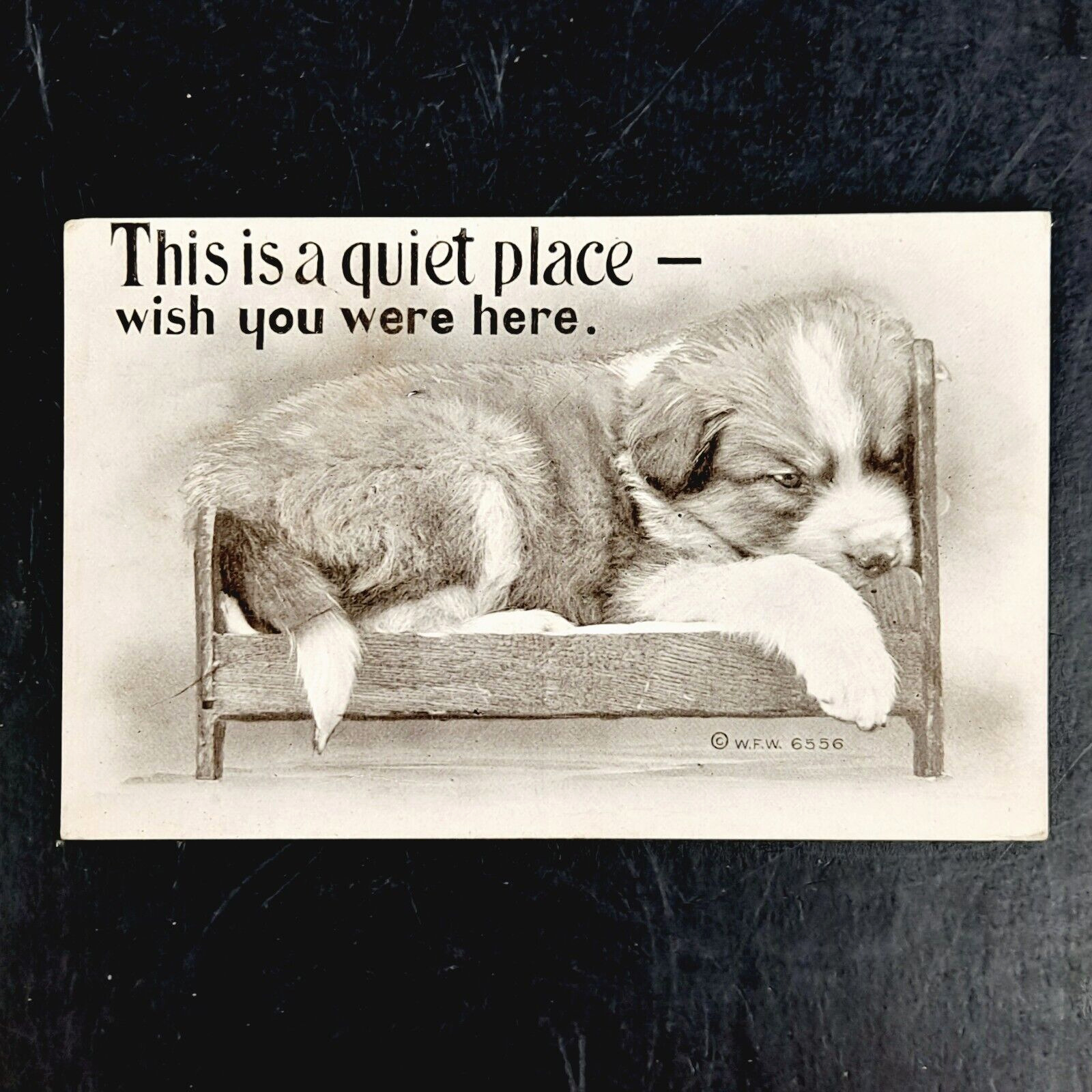ANTIQUE 1909 W. F. WILLIAMS POST CARD OF PUPPY THIS IS A QUIET PLACE - POSTED