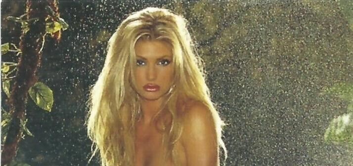 2014 Playboy Update 3:  2000-2002 - Brande Roderick - PMOY gold foil insert #5PY