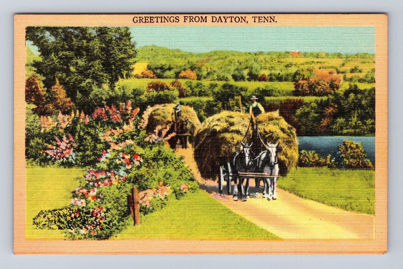 Dayton TN- Tennessee, Horse Carrying Hay General Greetings, Vintage Postcard