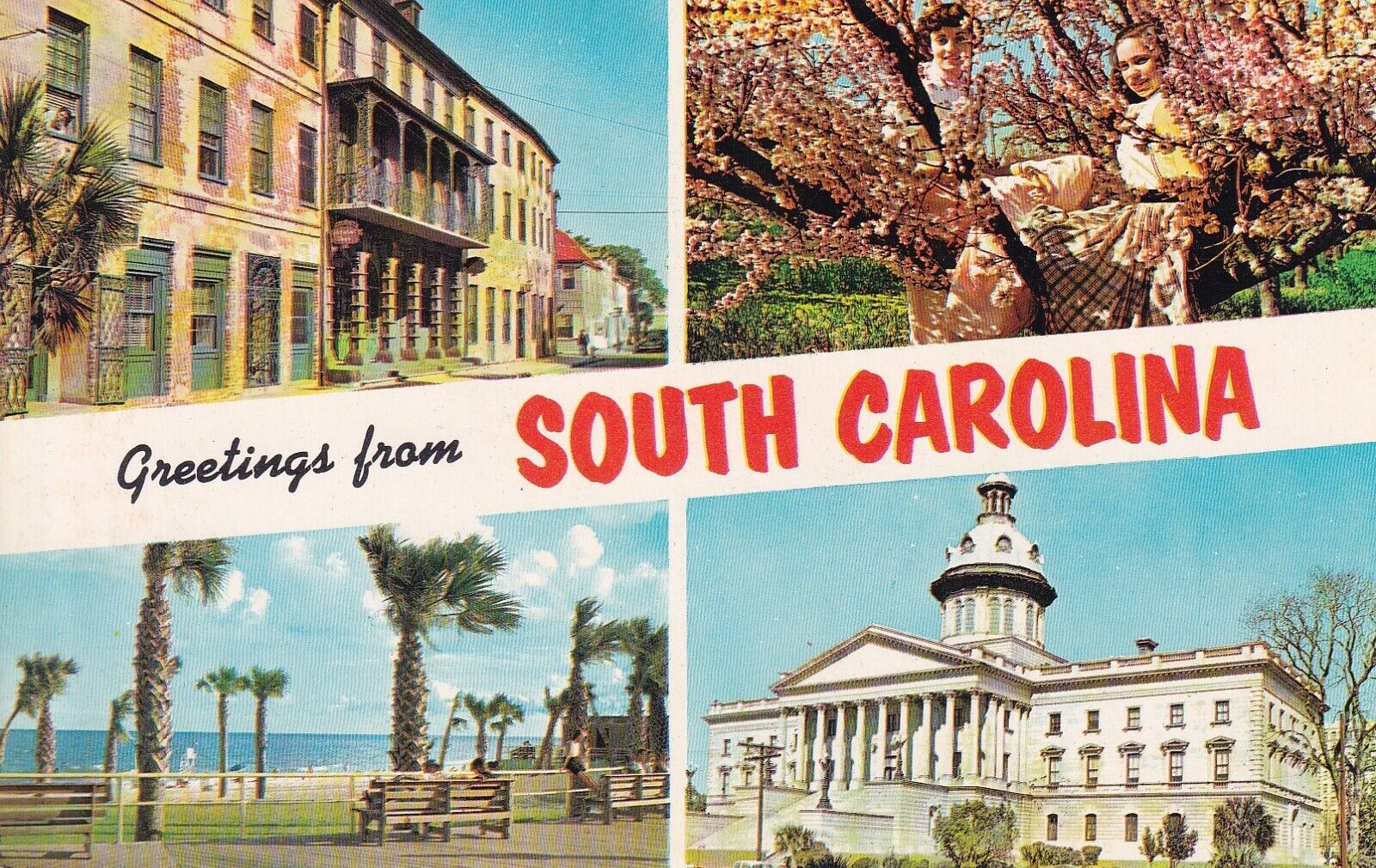 Postcard SC Charleston South Carolina Greetings H13