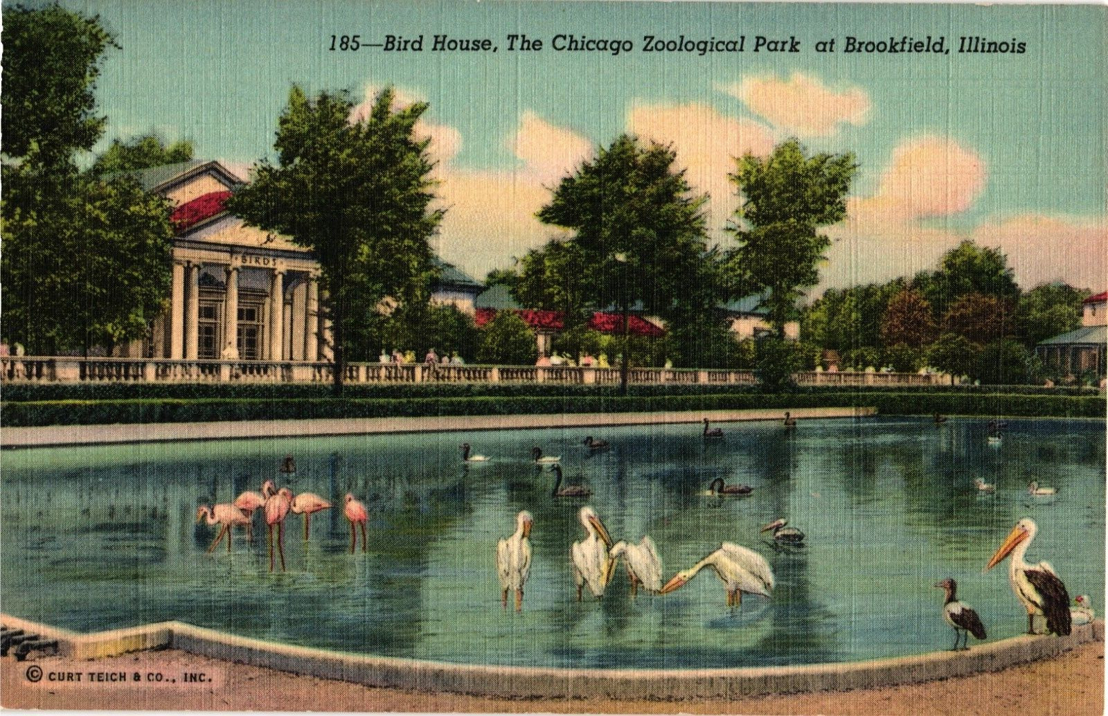 Birds Worldwide CHICAGO Zoological Park BROOKFIELD Illinois IL Postcard