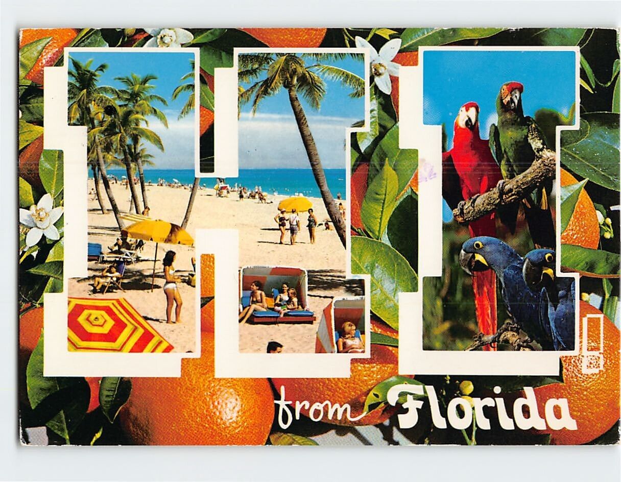 Postcard Hi from Florida