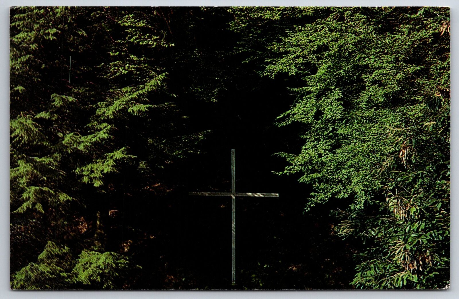 Mansfield Ohio~The Cross @ Oneida Lodge In Camp Mowana~PM 1990~Vintage Postcard