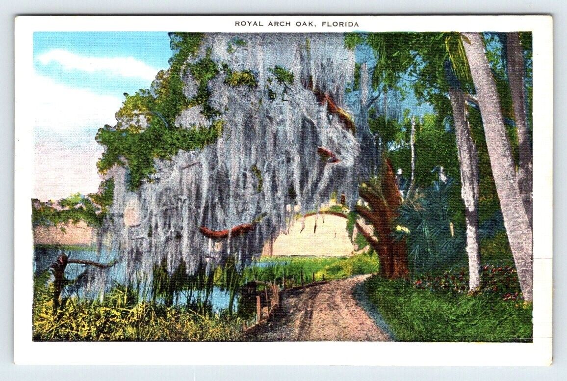 Royal Arch Oak Florida Vintage Postcard AF206