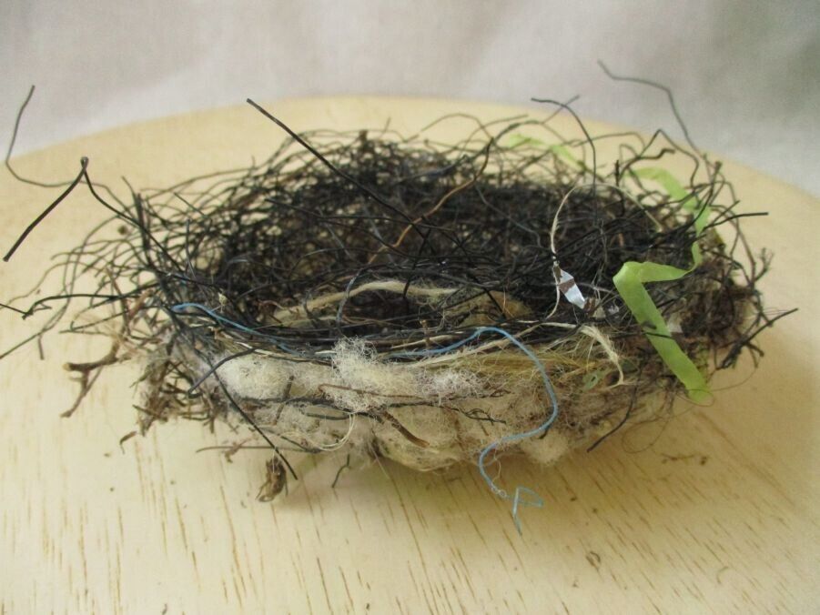 Wow Real Natural Bird Nest Found next to lake in SC Twigs & Recycled Materials