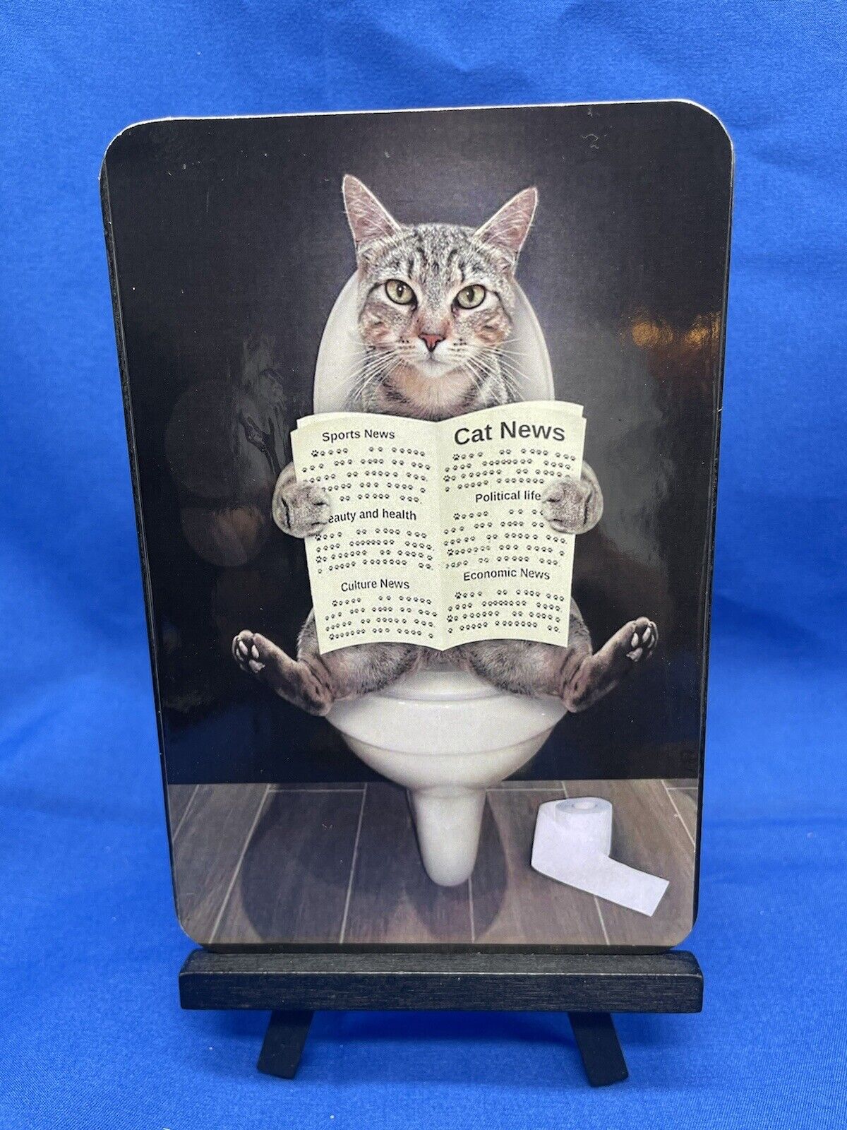 New Handmade Anamorphic Tabby Cat Reading Newspaper In Human Bathroom Unique