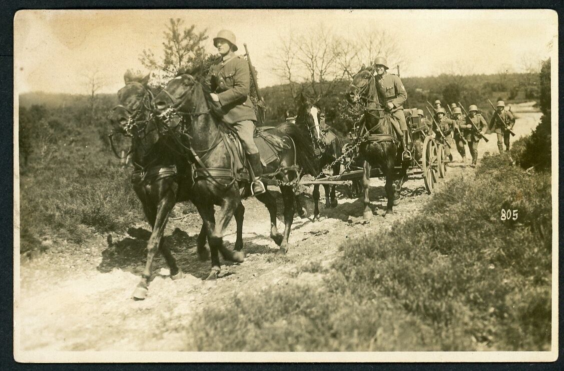 How Many German Soldiers & Horses Does it Take 2 Transport A Machine Gun? Photo