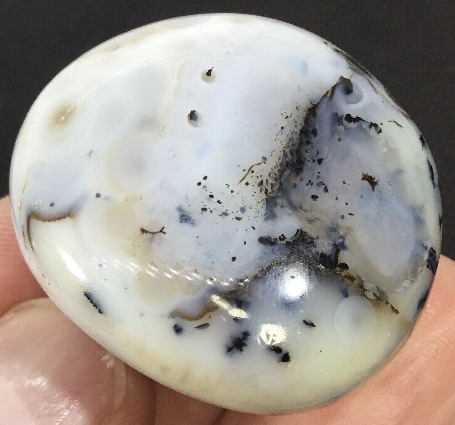 38g Polished Eye Agate palm stone Dendritic Collector Piece Chalcedony Aquatic