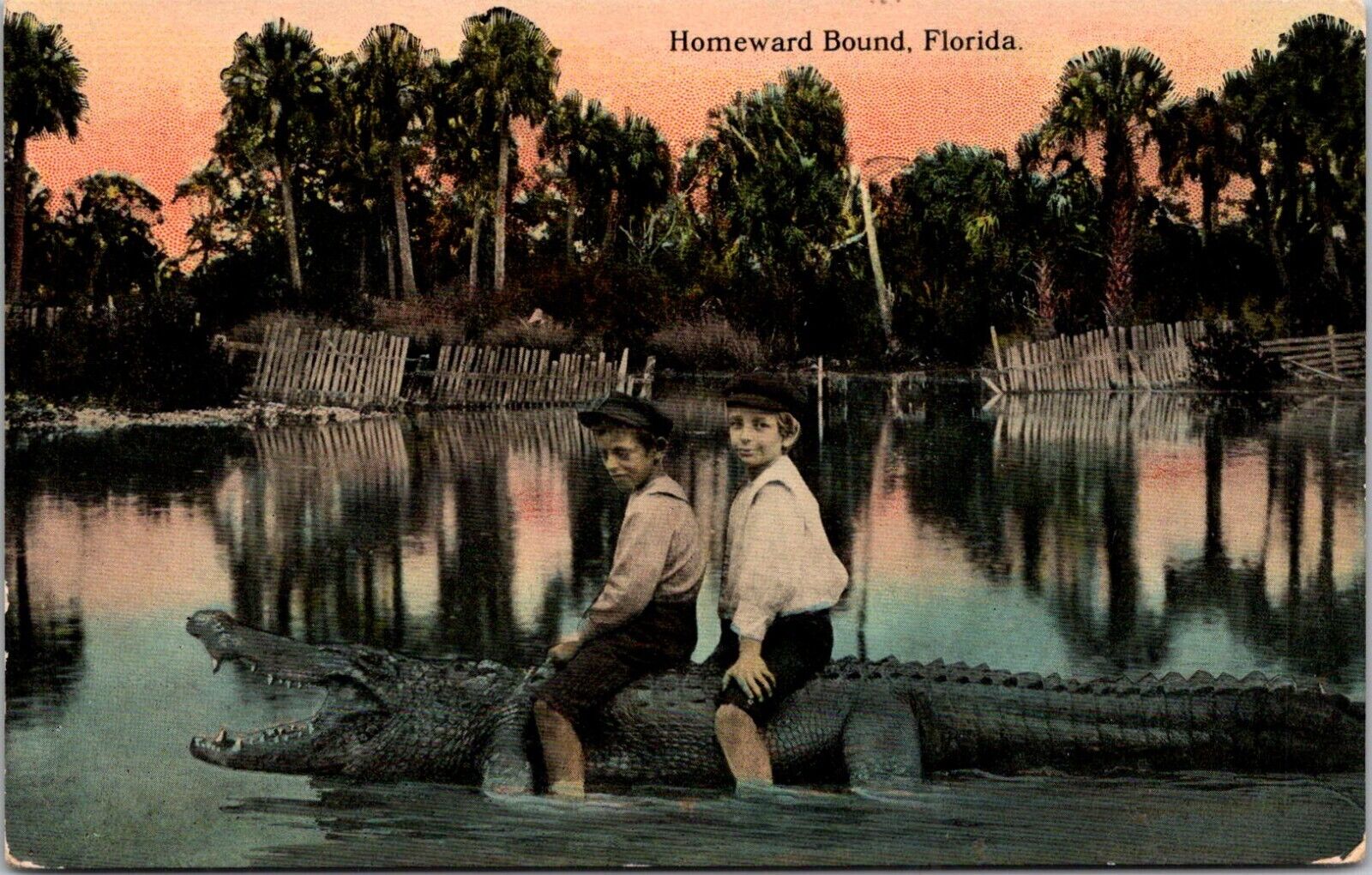 Homeward Bound Florida Boys Riding an Alligator c1910s Postcard A101
