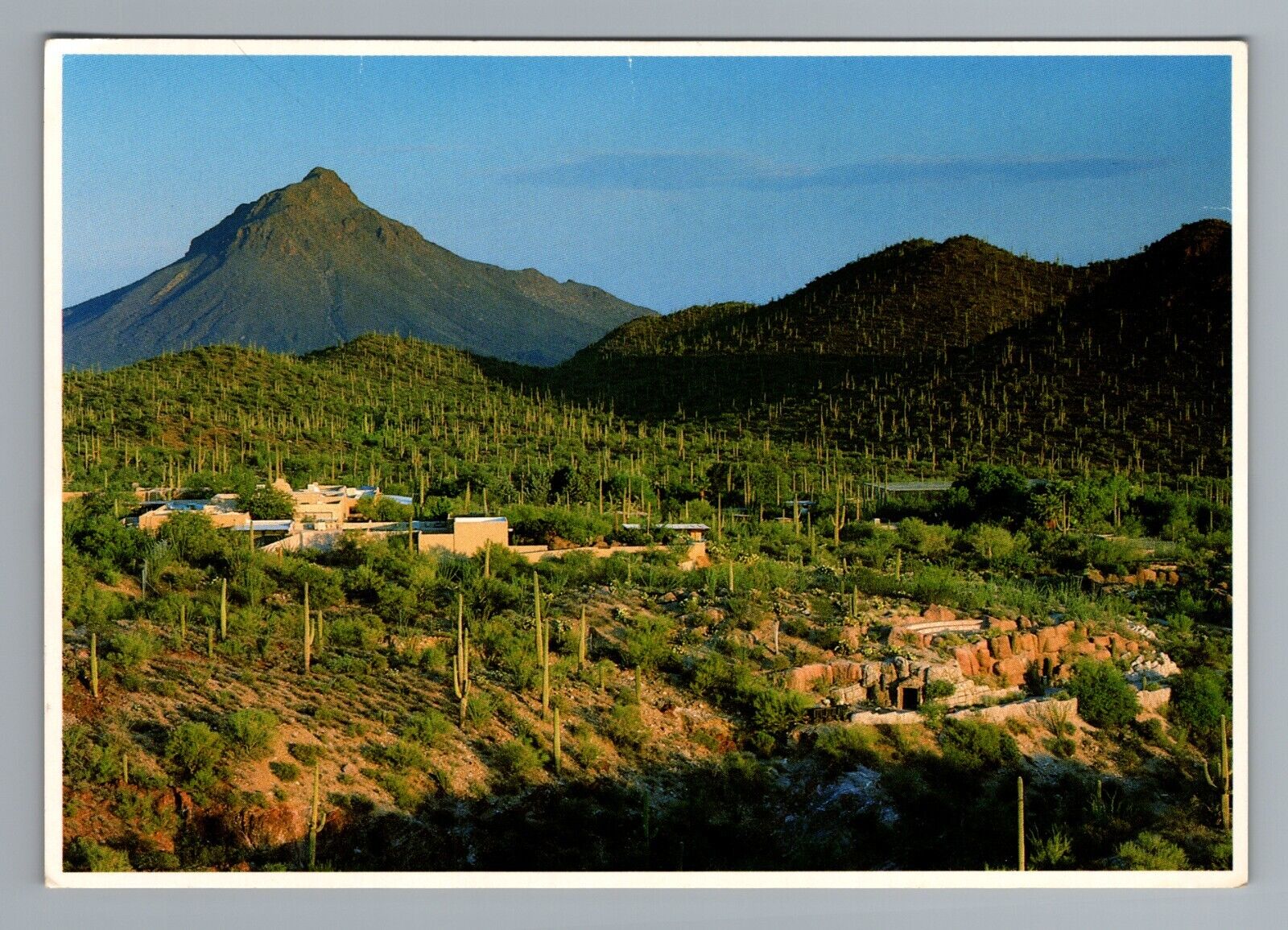 Desert Museum 1980s Impact Vintage Postcard Pristine Landscape Photography