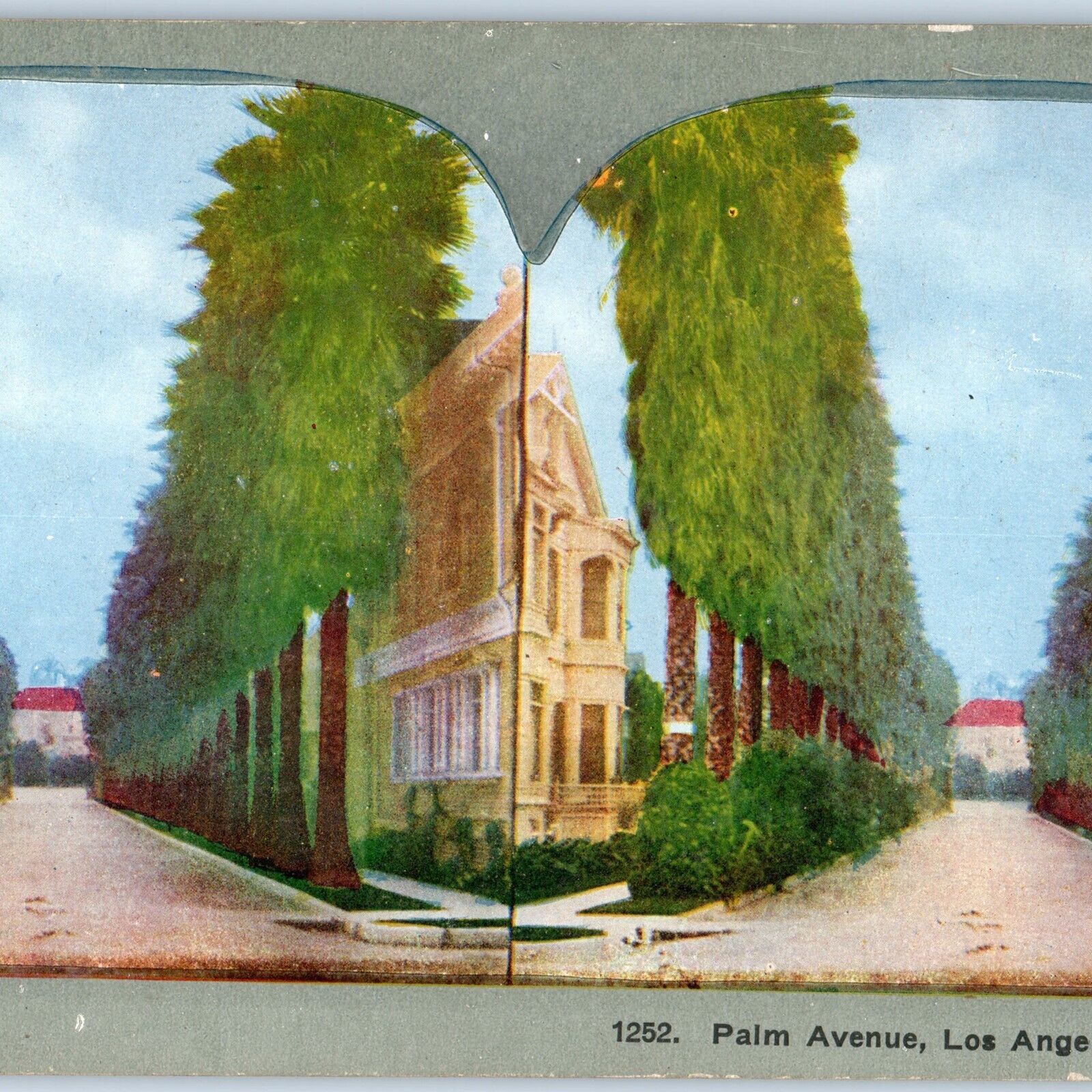 c1900s Palm Avenue, Los Angeles California Street View Litho Photo 3D Stereo V6