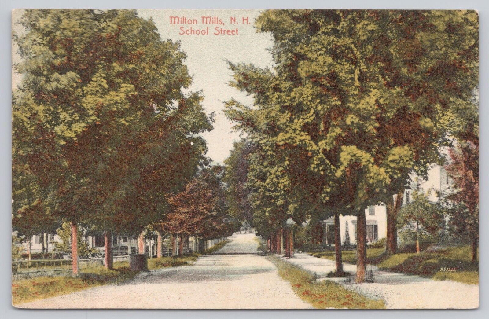Milton Mills New Hampshire, School Street View, Vintage Postcard