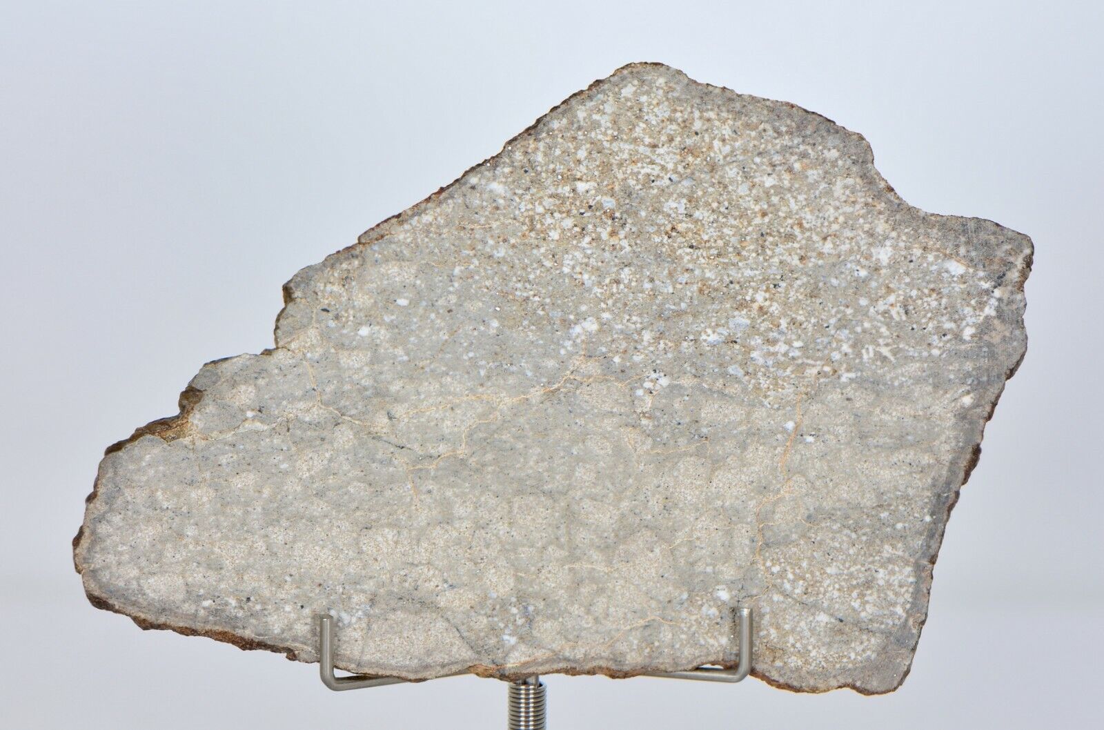 24.4g Ungrouped Achondrite Meteorite Beautiful Slice - NWA 12338 I TOP
