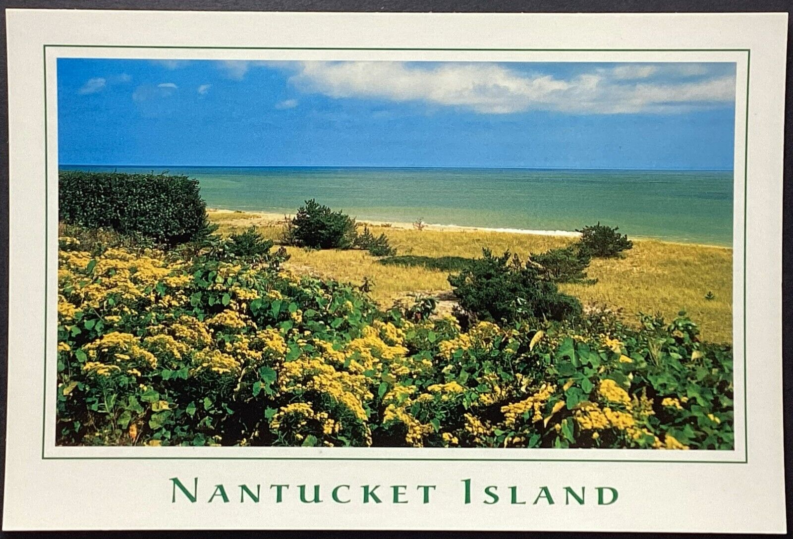 Nantucket Island Massachusetts Scenic Beach View Postcard Unposted