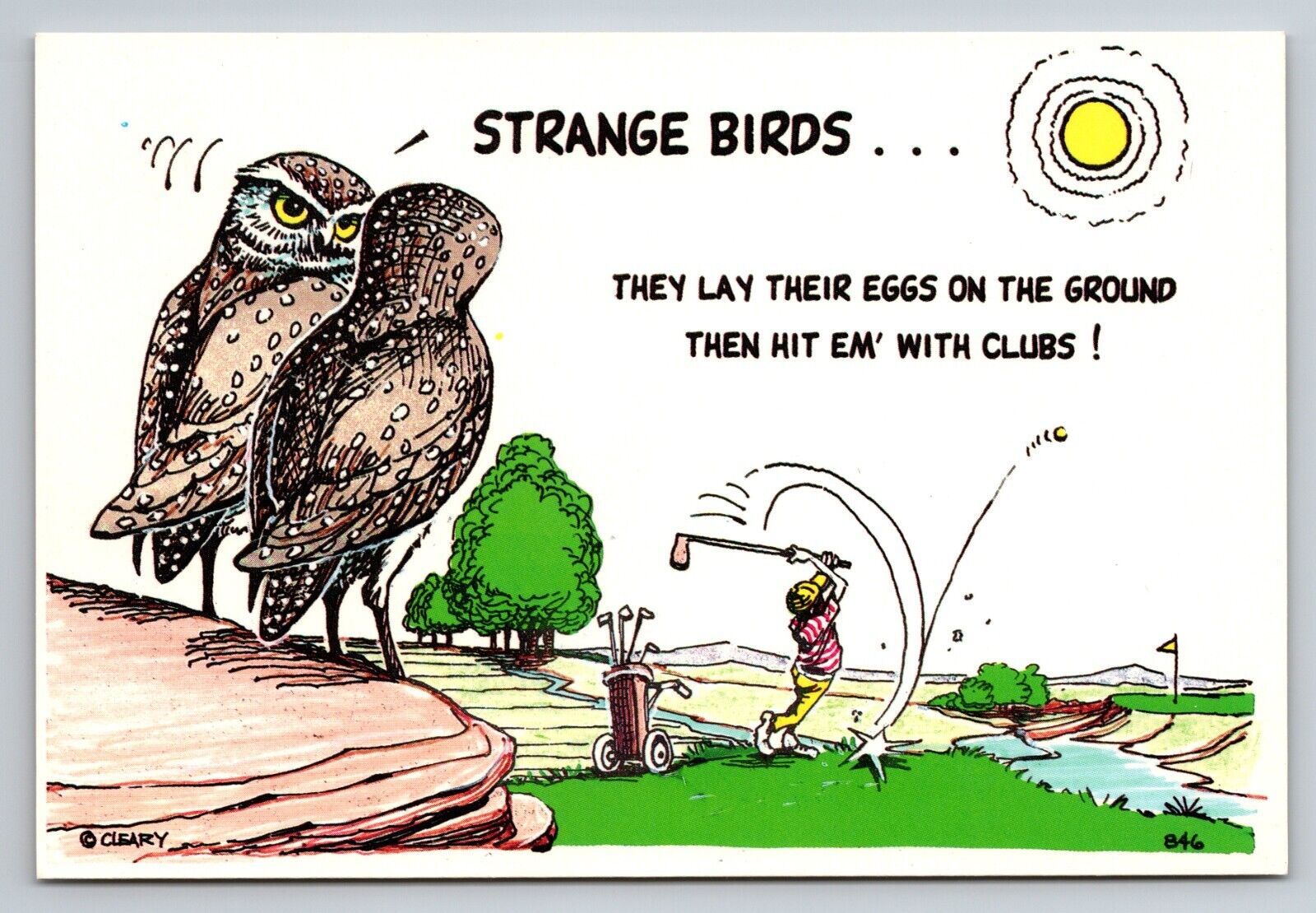 Owls Strange Birds Golfing Arizona Vintage Unposted Postcard Funny