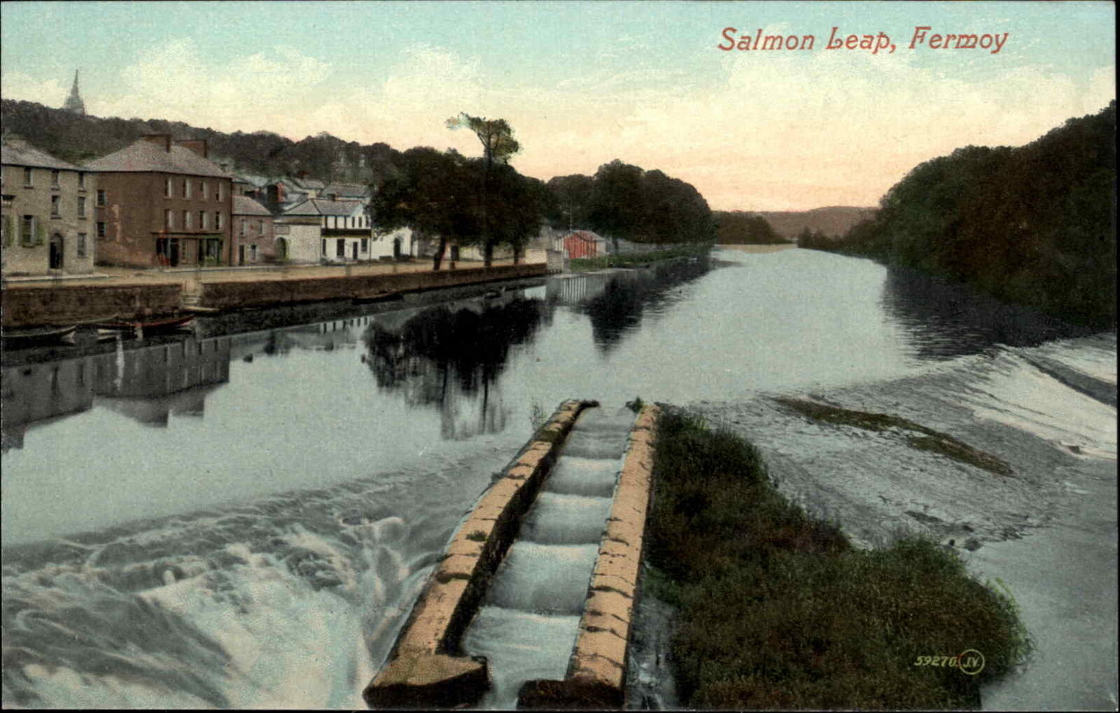 Fermoy Ireland Salmon Leap c1900s Postcard