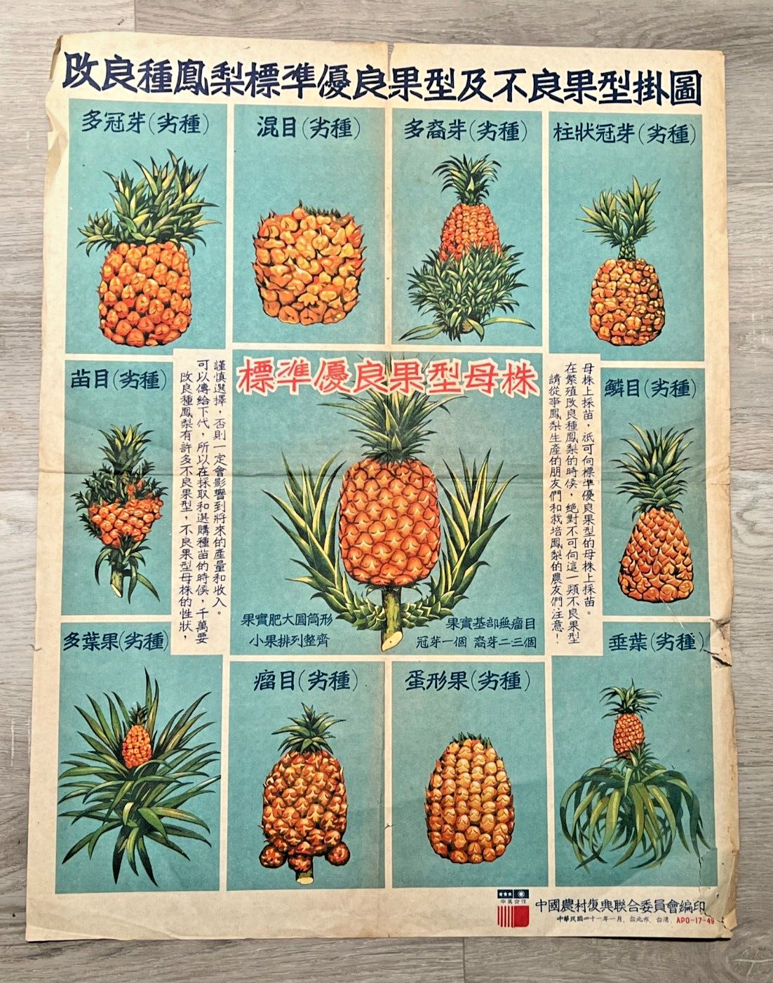 1940s Chinese Rural Reconstrucrion Poster Standards Of Bad & Good Pineapples
