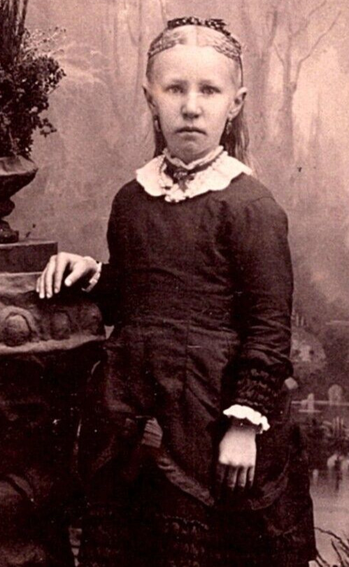 CDV Photo 1800\'s Waverly, Ia. Studio Portrait Girl In Victorian Dress Pierce