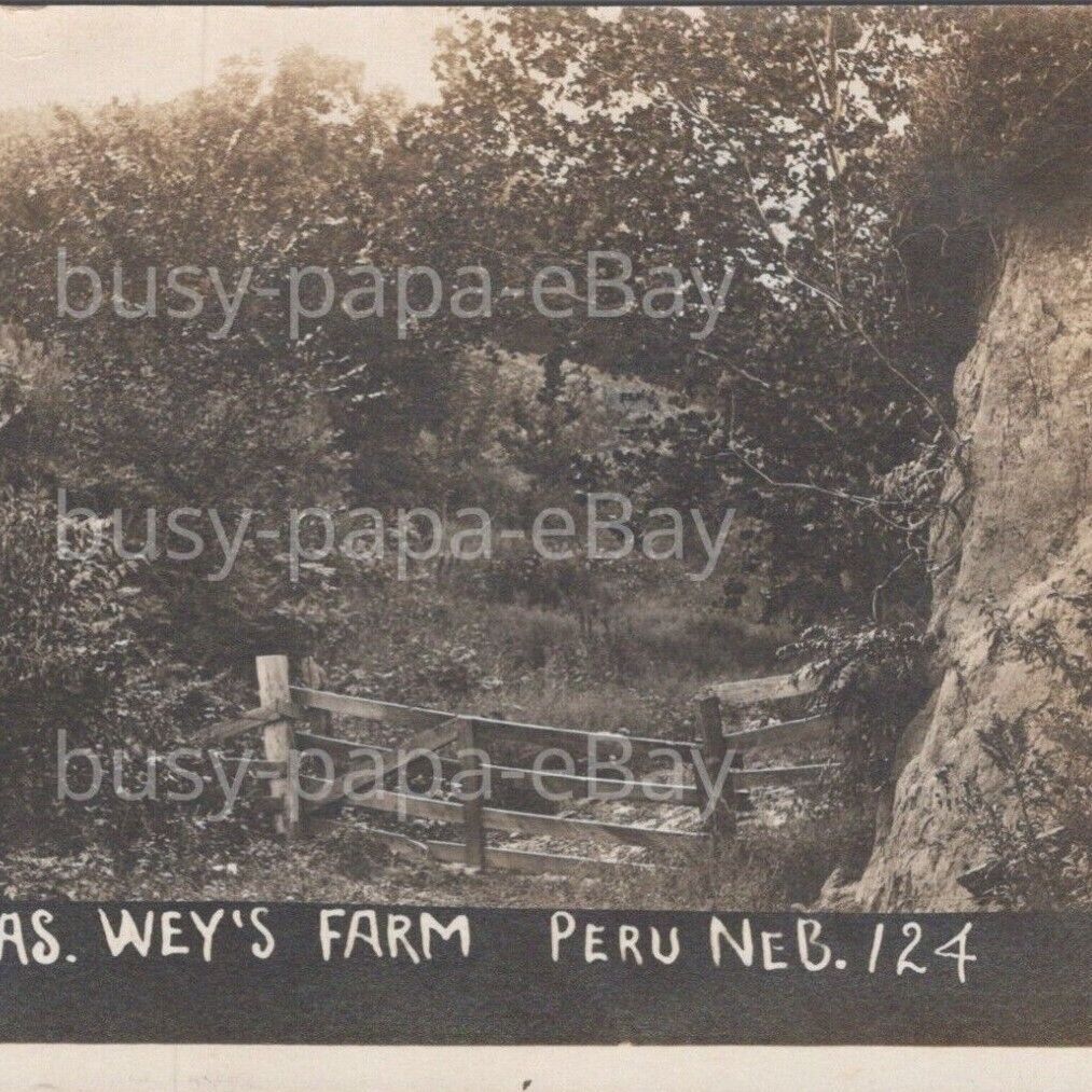 1910s RPPC Charles August Wey Farm Butcher Shop Owner Peru Nebraska Postcard